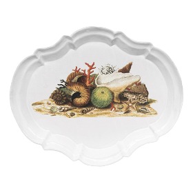 [John Derian] Shells 1754 Platter